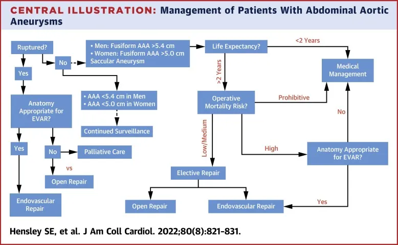 AAA management: EVAR vs. open repair decision pathway