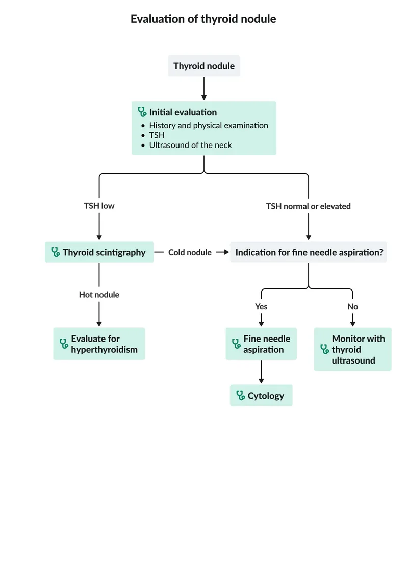 Thyroid Nodule Evaluation Algorithm