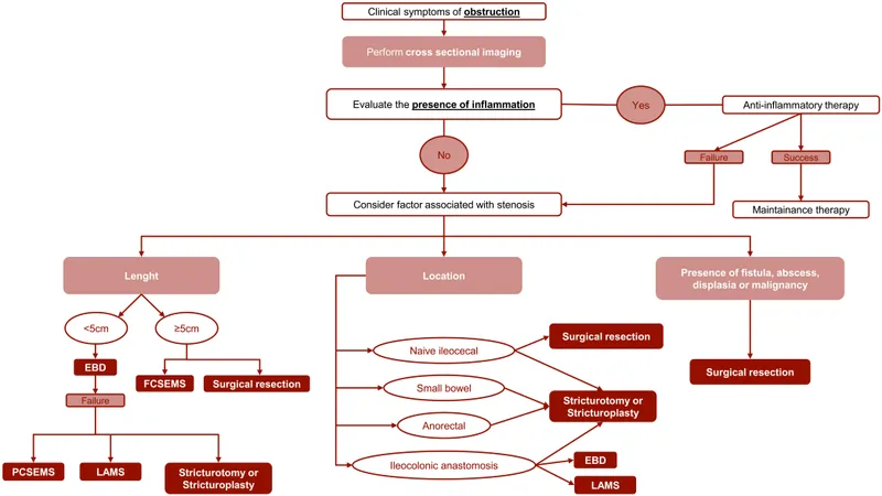 Crohn’s disease stricture management algorithm