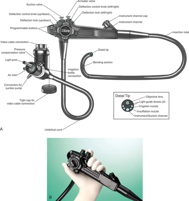 Flexible Endoscope Components Diagram