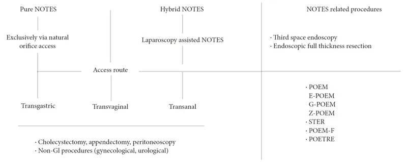 NOTES access routes and related procedures