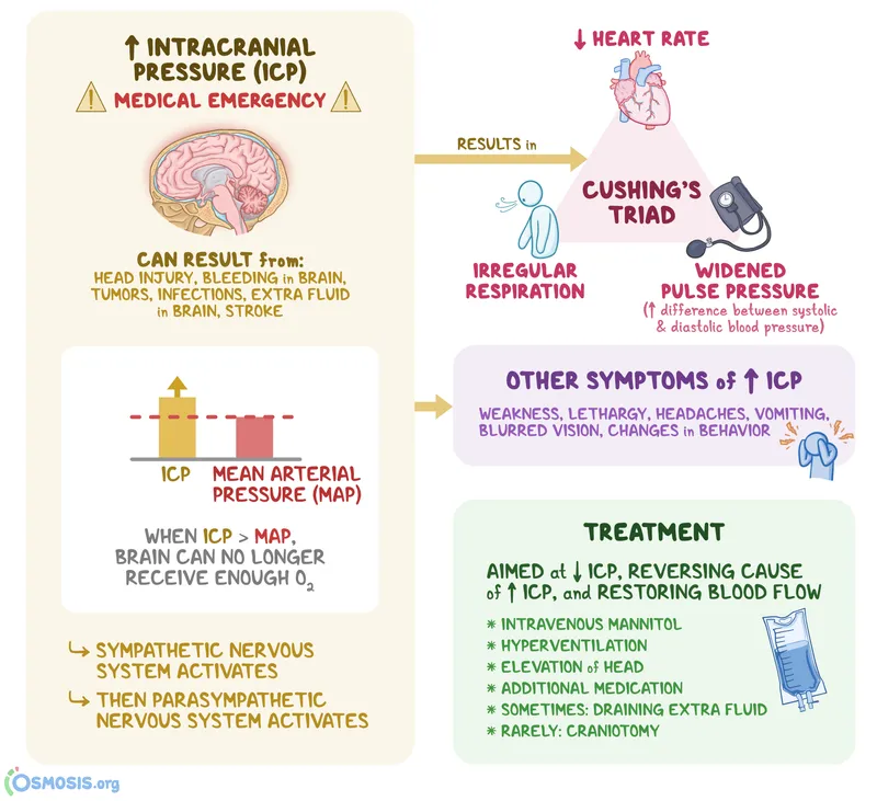 Intracranial Pressure (ICP) and Cushing's Triad