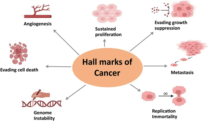 Hallmarks of Cancer simplified diagram