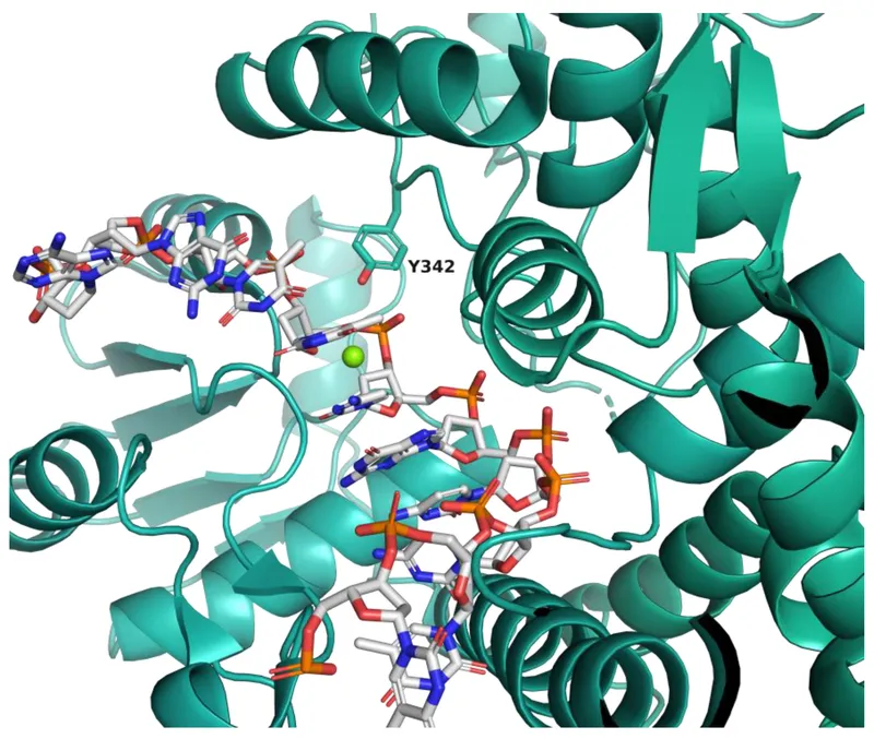 Detailed 3D structure of enzyme active site with substrate binding