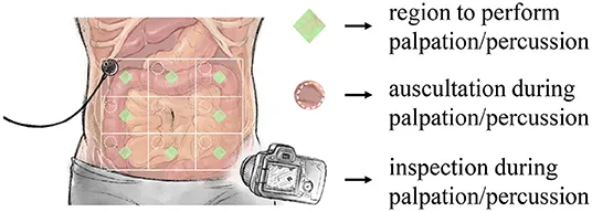Clinical photograph showing abdominal examination techniques and findings