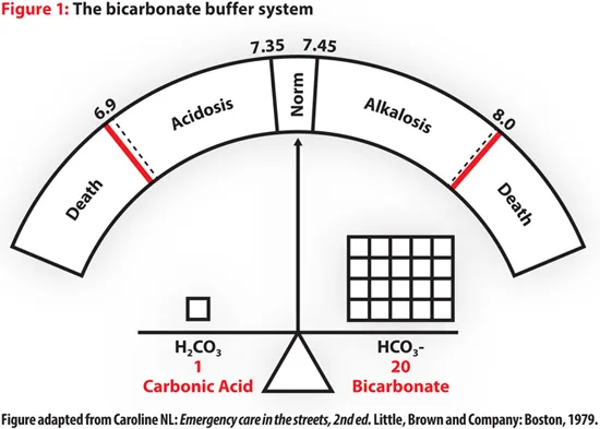 Diagram showing bicarbonate buffer system with carbonic acid formation