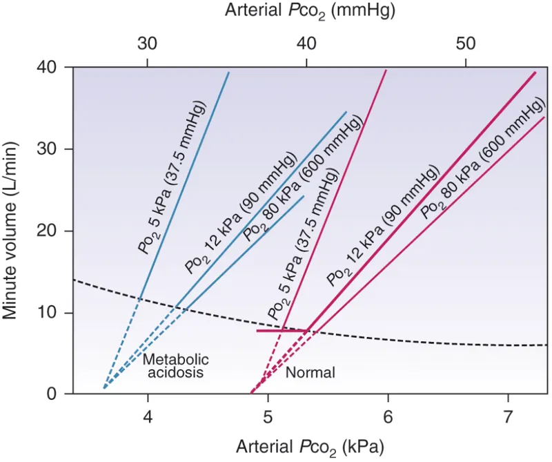 Graph showing ventilatory response to CO2 and oxygen levels