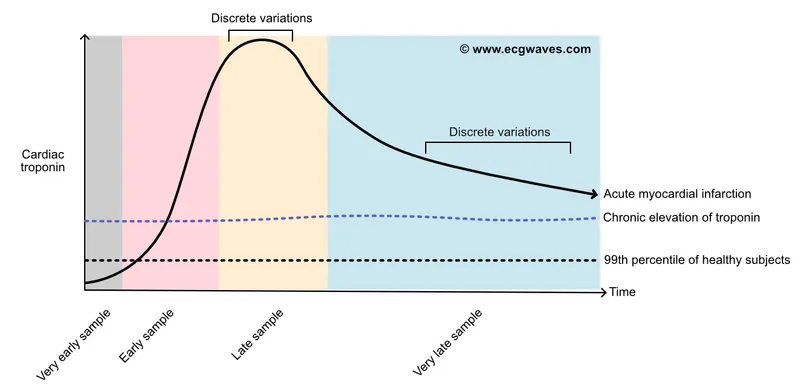 Graph showing troponin elevation timeline from symptom onset through recovery