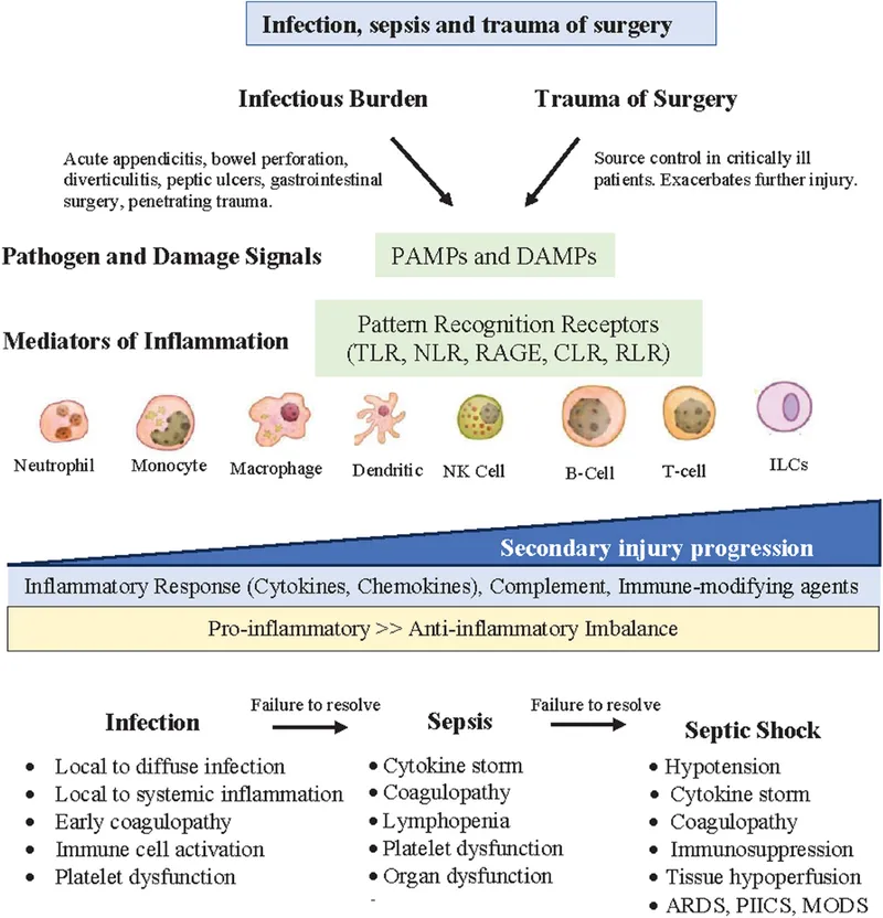 Sepsis pathophysiology cascade showing inflammatory mediators and organ effects
