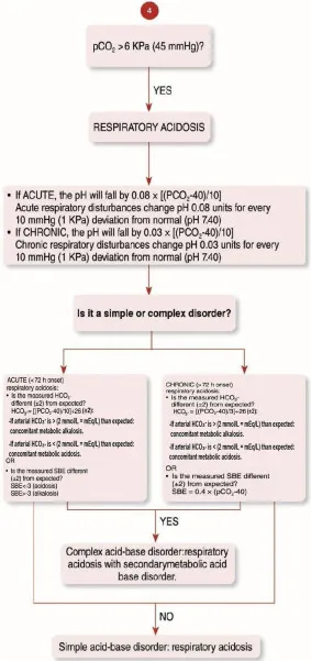 Figure 2: Arterial blood gas showing respiratory acidosis with elevated CO2