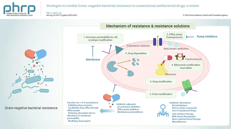 Bacterial resistance mechanisms diagram showing enzymatic destruction and efflux pumps
