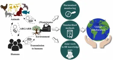 Global antibiotic resistance surveillance network diagram
