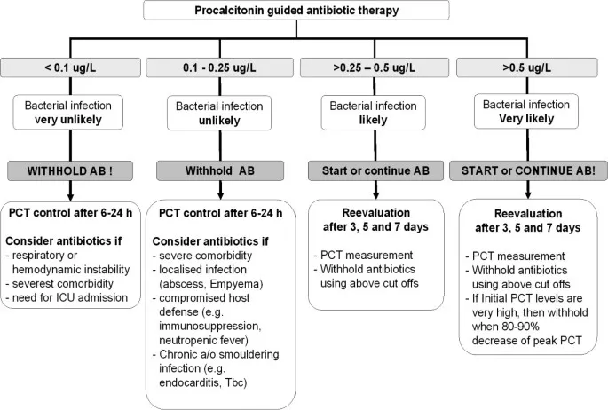 Procalcitonin-guided antibiotic therapy algorithm showing decision points