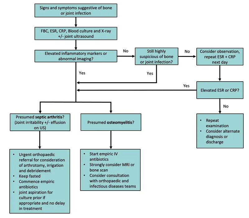 Clinical decision support system showing integrated approach to joint infection management