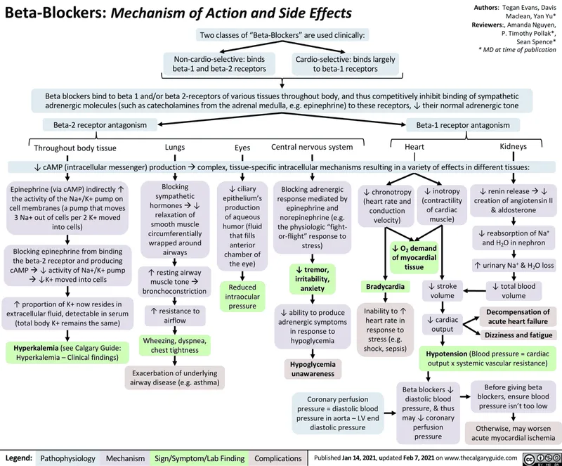 beta blocker mechanism