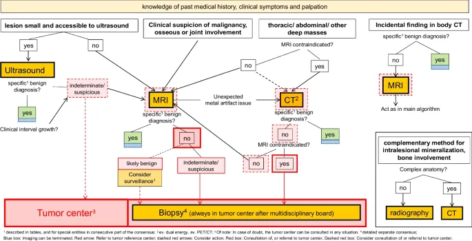 Clinical decision tree for bone and soft tissue mass evaluation