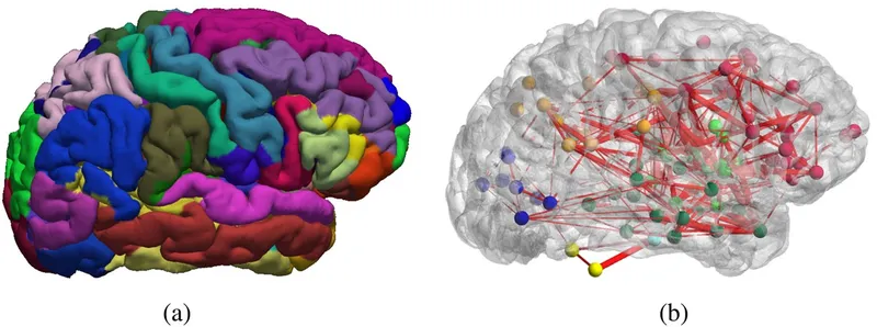 Brain connectivity networks showing major functional systems