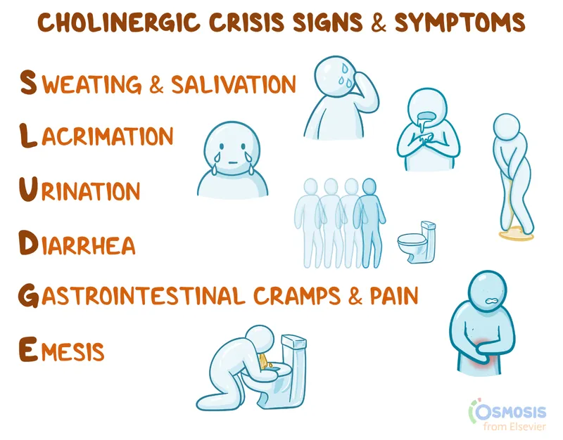 Clinical presentation of cholinergic crisis with SLUDGE symptoms