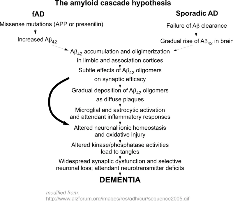 Molecular pathways showing amyloid cascade and tau protein dysfunction