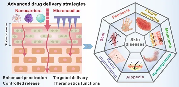Advanced drug delivery systems showing enhanced penetration and targeting mechanisms