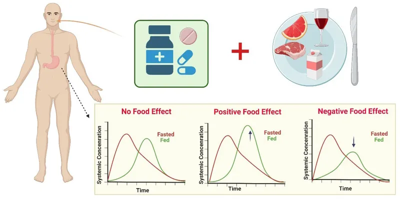 Pharmacokinetic graph showing itraconazole levels with and without food