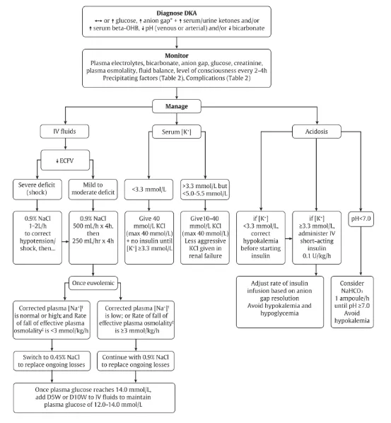 Quick reference card showing DKA management protocols
