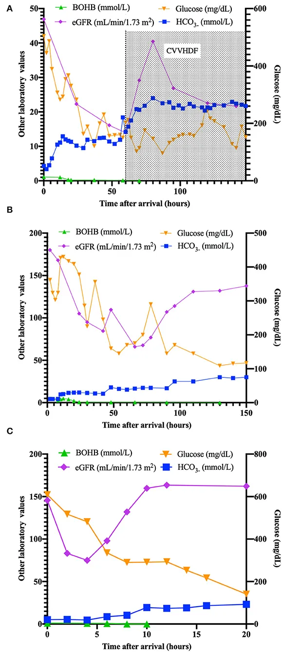 Graph showing glucose and ketone trends during DKA treatment