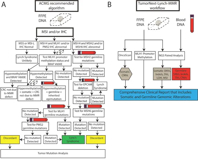 Clinical decision tree for DNA repair deficiency syndrome diagnosis