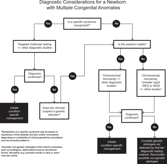 Clinical decision tree for evaluating newborn with multiple congenital anomalies