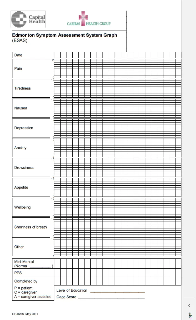 Comprehensive symptom assessment chart for end-of-life care