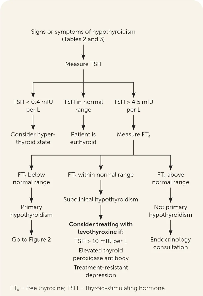 Clinical decision support tool for insulin and thyroid management