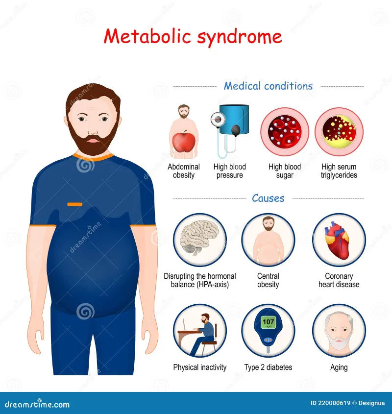 metabolic syndrome components diagram