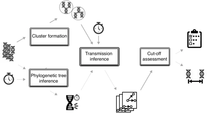 Outbreak investigation flowchart