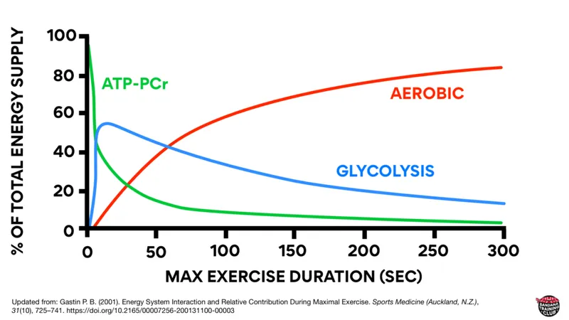 Energy systems contribution during different exercise durations