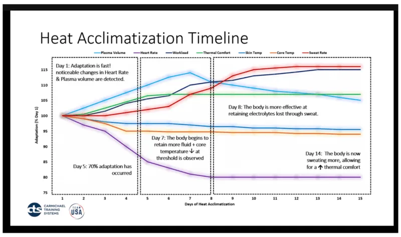 Heat acclimatization adaptations showing improved sweating response
