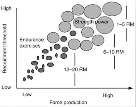 Motor unit recruitment pattern during increasing exercise intensity