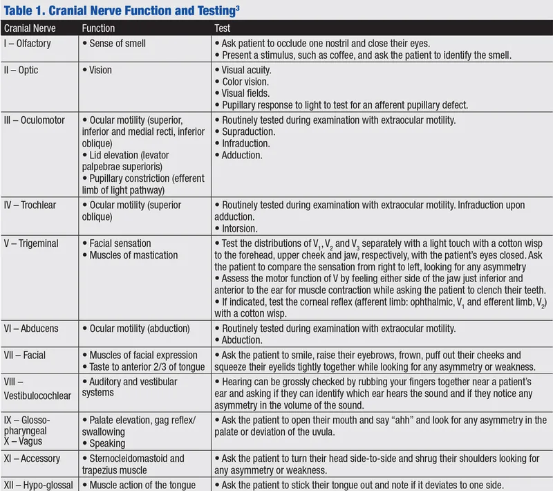 Systematic neurological examination protocol showing cranial nerve and motor testing