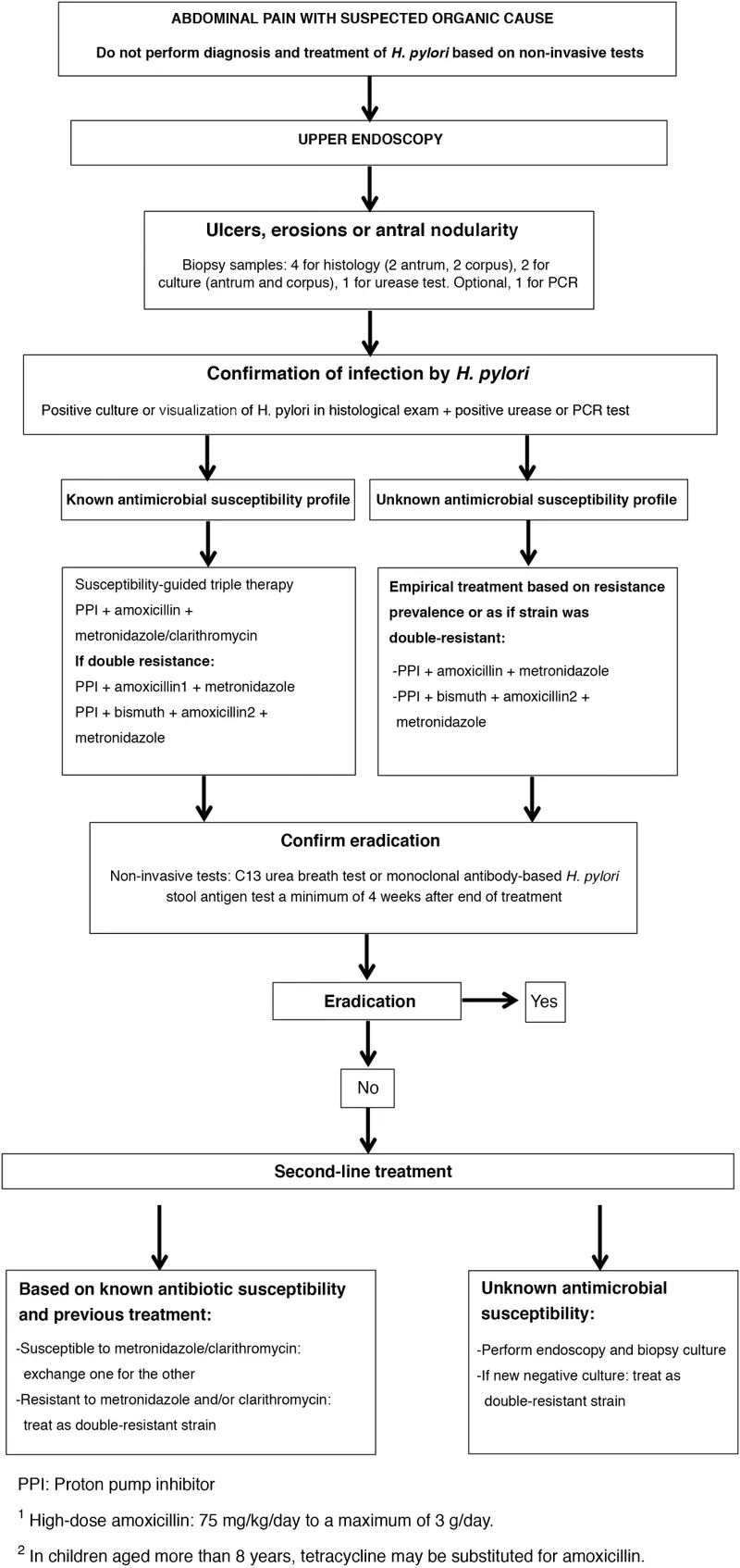 Clinical decision support algorithm for H. pylori management