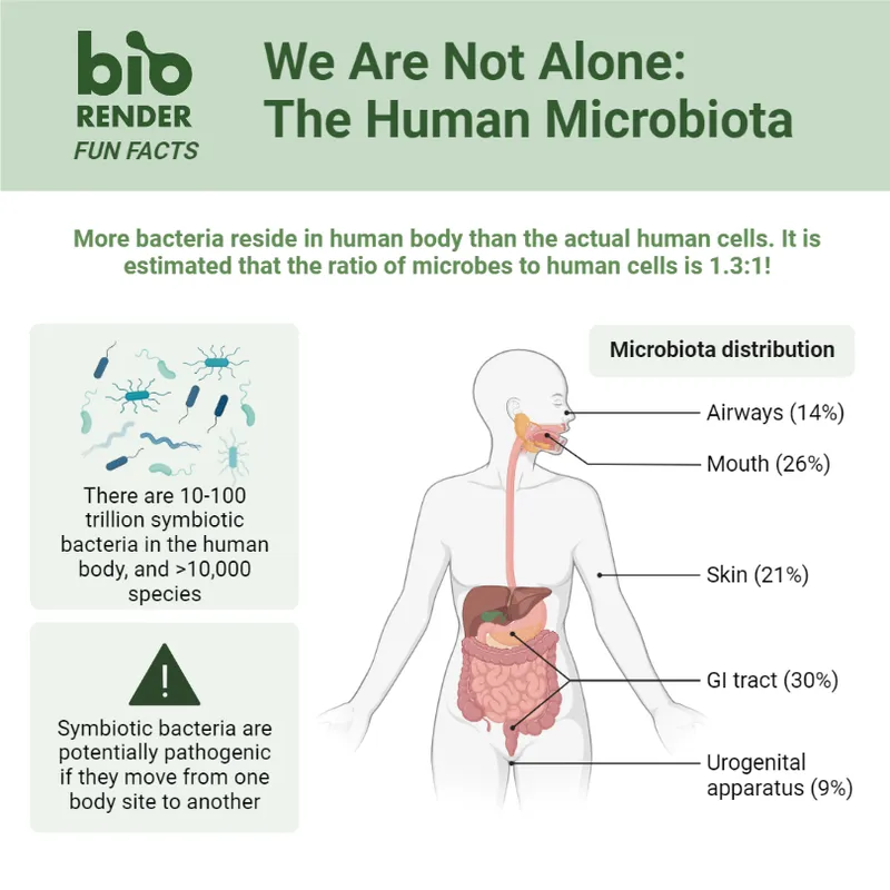 Human microbiome distribution body sites