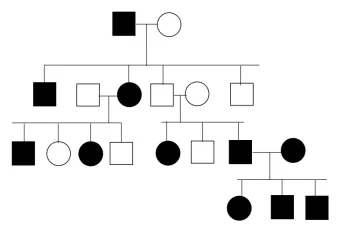 Genetic disorder inheritance patterns showing autosomal dominant, recessive, and X-linked transmission