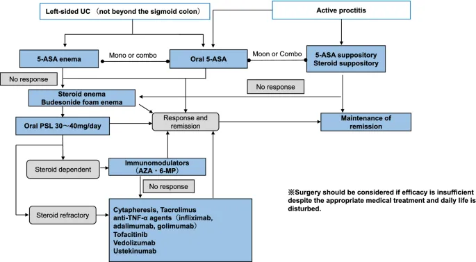 Inflammatory bowel disease treatment algorithm with biologic therapy options