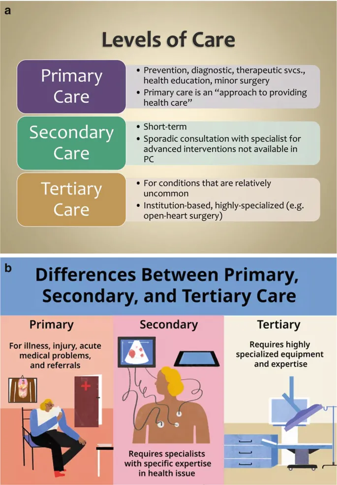Indian healthcare resource allocation across different levels of care