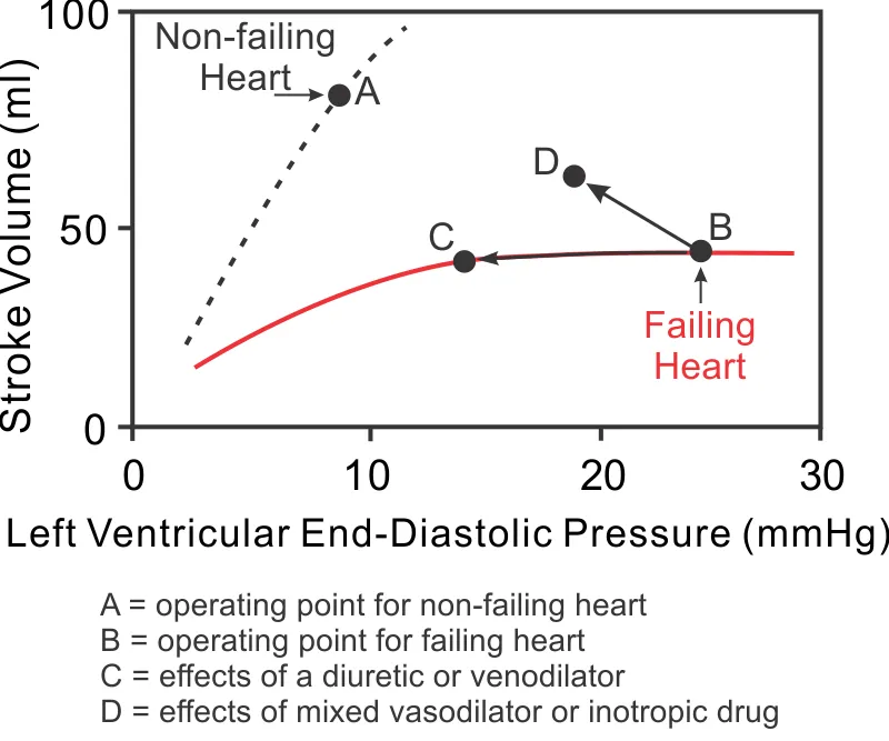 Diagram showing Frank-Starling curve in normal vs failing heart