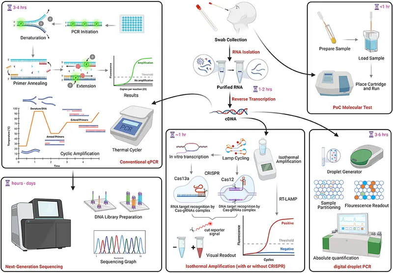 molecular testing algorithm AML
