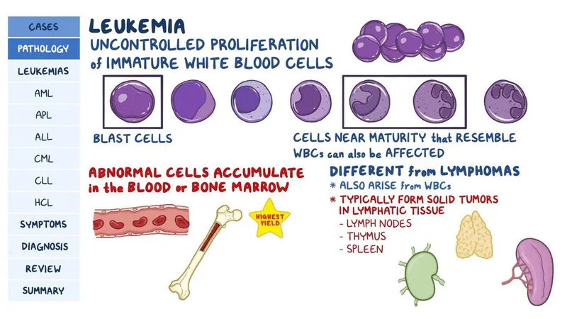 bone marrow niche leukemia