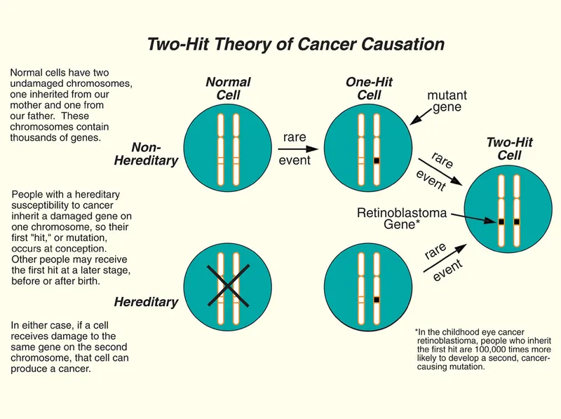 leukemogenesis two hit model