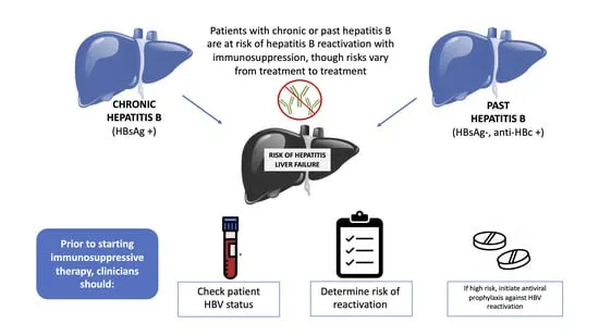 Hepatitis B reactivation risk stratification in immunosuppressed patients
