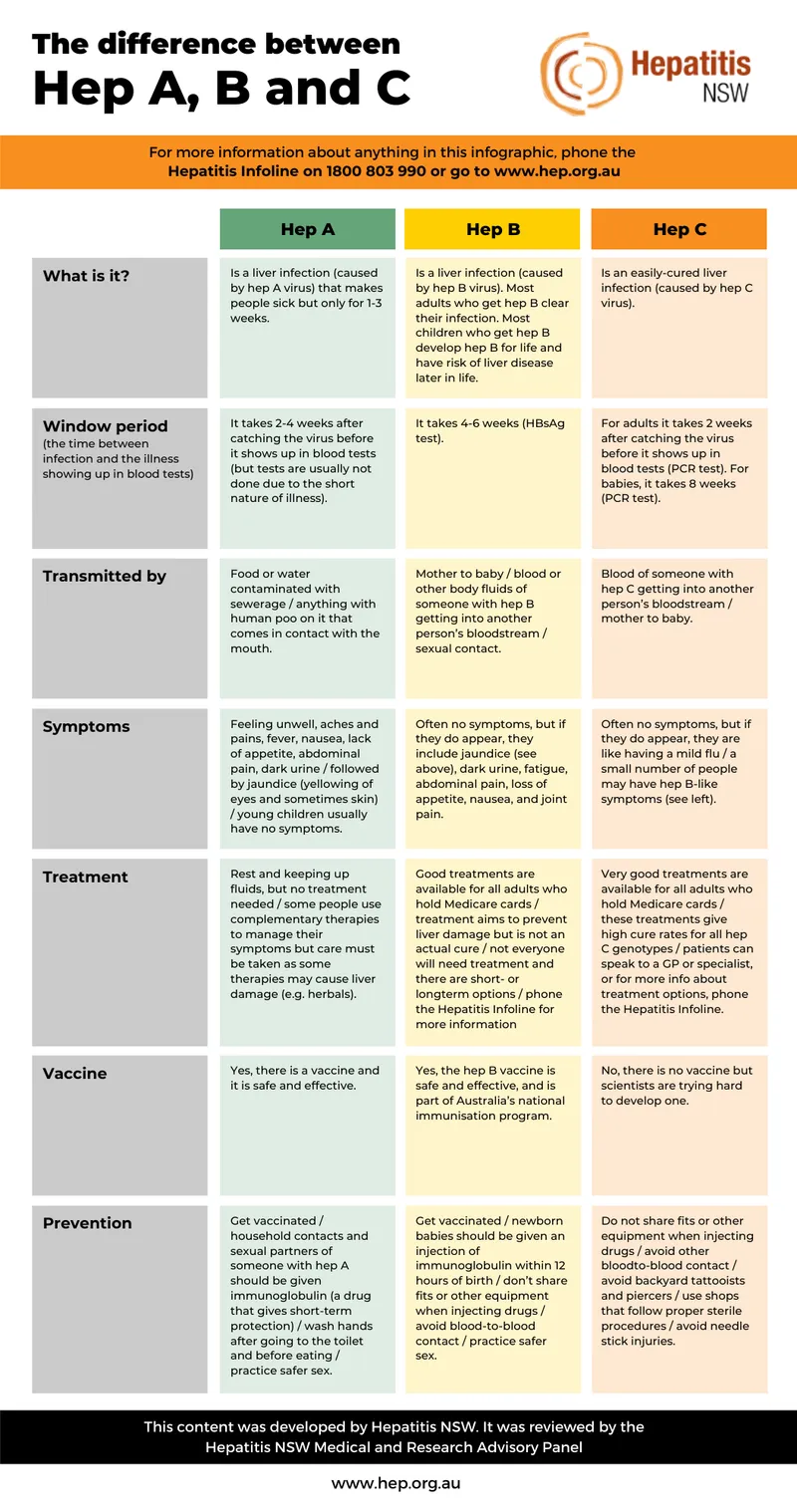 Comparison chart of HBV vs HCV viral characteristics and clinical features