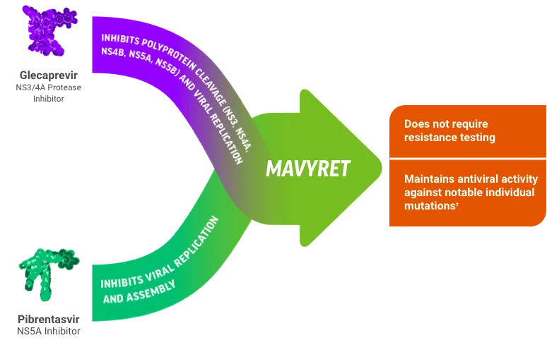 Direct-acting antiviral mechanisms for HCV treatment