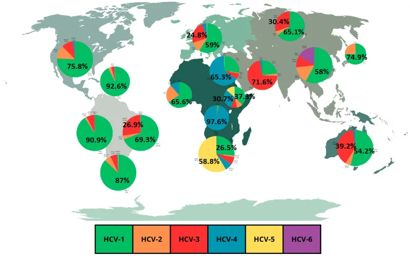 HCV genotype distribution map showing global prevalence patterns